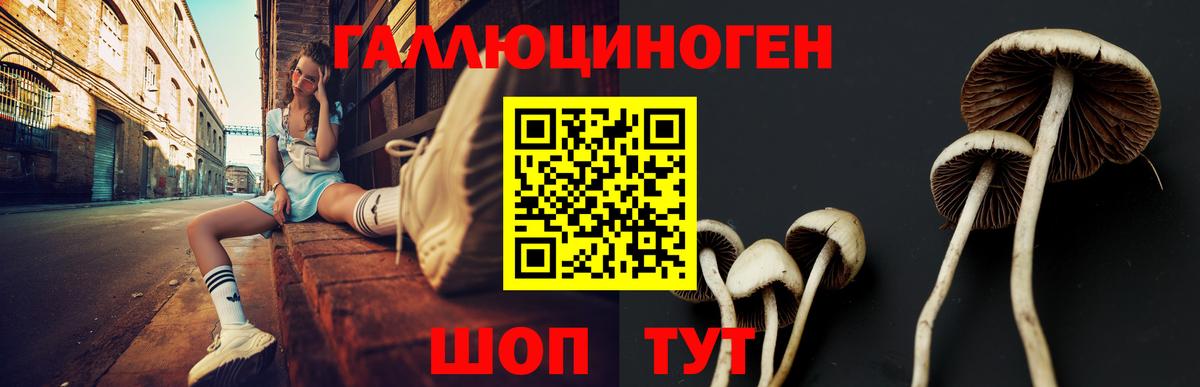 Галлюциногенные грибы Psilocybe  Галлюциногенные грибы мухоморы  Вход с VPN  Ревда 
